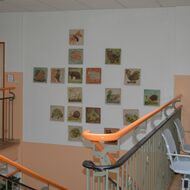 Aufgang Haupteingang